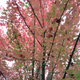 Image for article titled 48 Photos Of Autumn Around The World